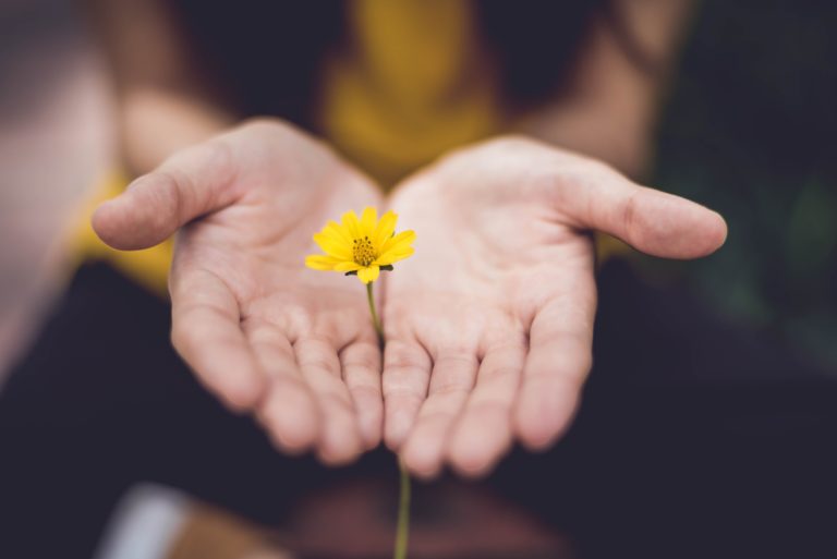 yellow-flower